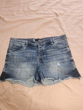 Kut From The Kloth Madeline Denim Shorts